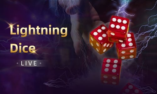 809Slot Live Casino HD Streaming Table Myanmar ကစားသမားများ ကစားနေသော မြင်ကွင်း